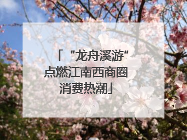 “龙舟溪游”点燃江南西商圈消费热潮