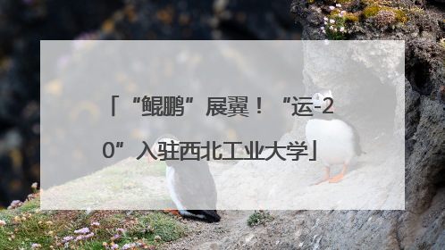 “鲲鹏”展翼！“运-20”入驻西北工业大学