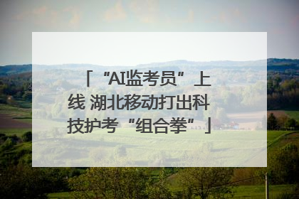 “AI监考员”上线 湖北移动打出科技护考“组合拳”