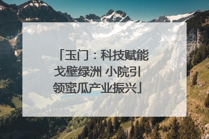 玉门：科技赋能戈壁绿洲 小院引领蜜瓜产业振兴