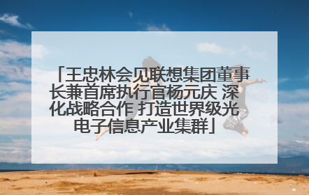 王忠林会见联想集团董事长兼首席执行官杨元庆 深化战略合作 打造世界级光电子信息产业集群