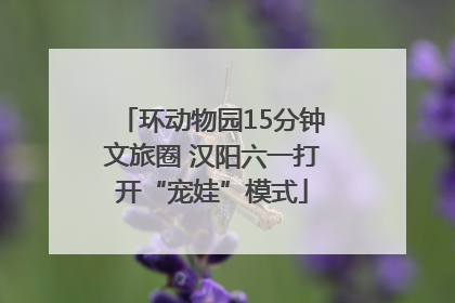 环动物园15分钟文旅圈 汉阳六一打开“宠娃”模式