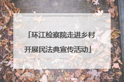 环江检察院走进乡村开展民法典宣传活动