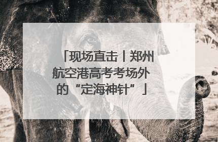 现场直击丨郑州航空港高考考场外的“定海神针”