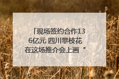 现场签约合作136亿元 四川攀枝花在这场推介会上画“图谱”列“清单”