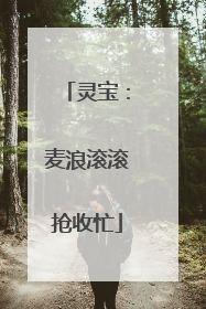 灵宝：麦浪滚滚抢收忙