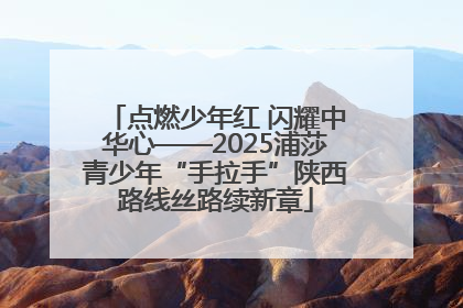 点燃少年红 闪耀中华心——2025浦莎青少年“手拉手”陕西路线丝路续新章