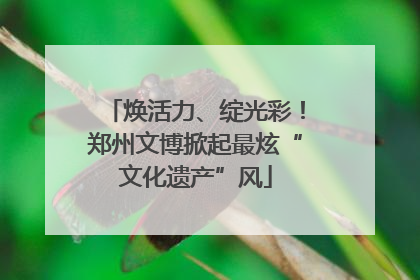 焕活力、绽光彩！郑州文博掀起最炫“文化遗产”风