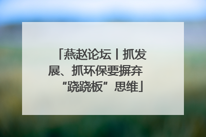 燕赵论坛丨抓发展、抓环保要摒弃“跷跷板”思维