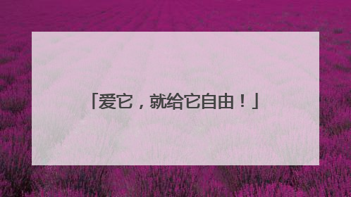 爱它，就给它自由！