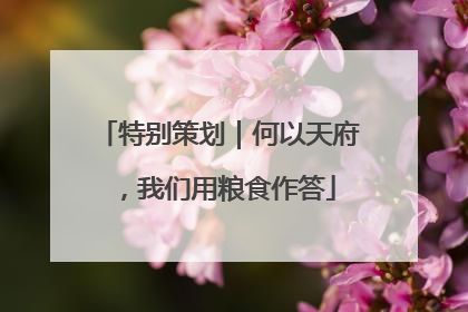 特别策划｜何以天府，我们用粮食作答