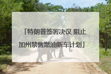 特朗普签署决议 阻止加州禁售燃油新车计划