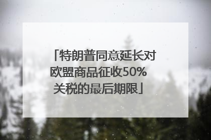特朗普同意延长对欧盟商品征收50%关税的最后期限