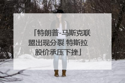 特朗普-马斯克联盟出现分裂 特斯拉股价承压下挫