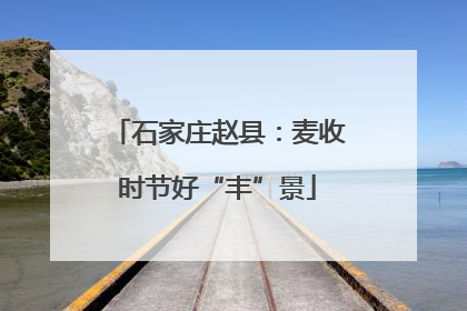 石家庄赵县：麦收时节好“丰”景