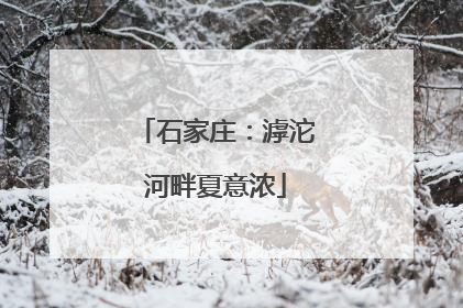 石家庄：滹沱河畔夏意浓