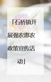 石桥镇开展强农惠农政策宣传活动