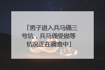 男子进入兵马俑三号坑，兵马俑受损等情况正在调查中