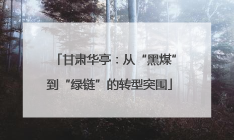 甘肃华亭：从“黑煤”到“绿链”的转型突围