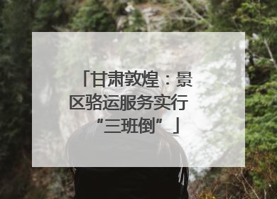 甘肃敦煌：景区骆运服务实行“三班倒”