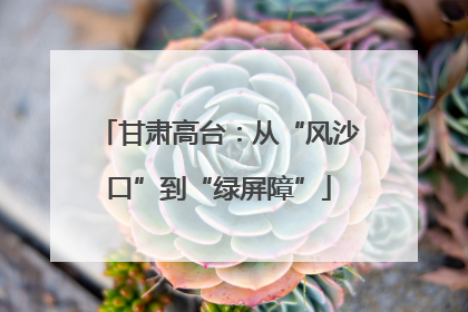 甘肃高台：从“风沙口”到“绿屏障”