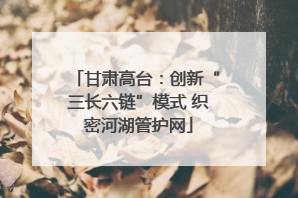 甘肃高台：创新“三长六链”模式 织密河湖管护网