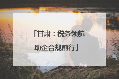 甘肃：税务领航 助企合规前行