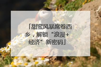 甜蜜风暴席卷西乡，解锁“浪漫+经济”新密码