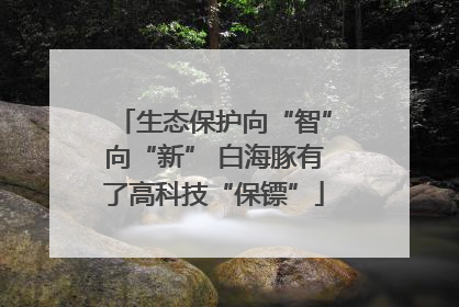 生态保护向“智”向“新” 白海豚有了高科技“保镖”