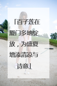 百子莲在厦门多地绽放，为盛夏增添清凉与诗意