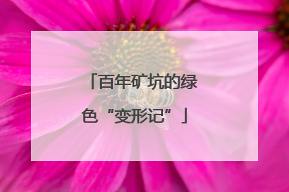 百年矿坑的绿色“变形记”