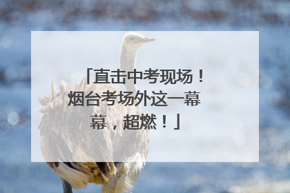 直击中考现场！烟台考场外这一幕幕，超燃！