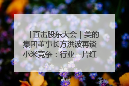 直击股东大会｜美的集团董事长方洪波再谈小米竞争：行业一片红海，打法已固定，无论谁胜都是消耗战