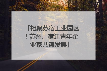 相聚苏宿工业园区！苏州、宿迁青年企业家共谋发展