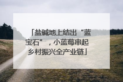 盐碱地上结出“蓝宝石”，小蓝莓串起乡村振兴全产业链