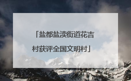 盐都盐渎街道花吉村获评全国文明村