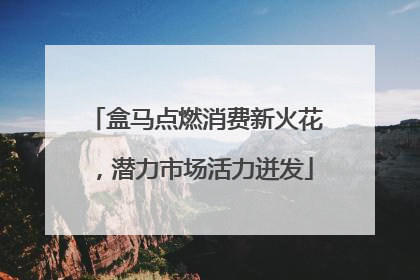 盒马点燃消费新火花，潜力市场活力迸发