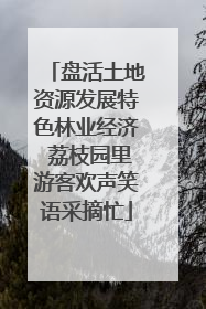 盘活土地资源发展特色林业经济 荔枝园里游客欢声笑语采摘忙