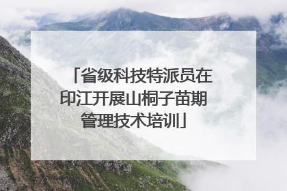 省级科技特派员在印江开展山桐子苗期管理技术培训