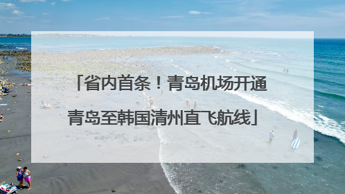 省内首条！青岛机场开通青岛至韩国清州直飞航线