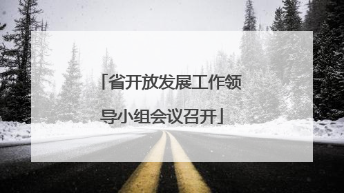 省开放发展工作领导小组会议召开