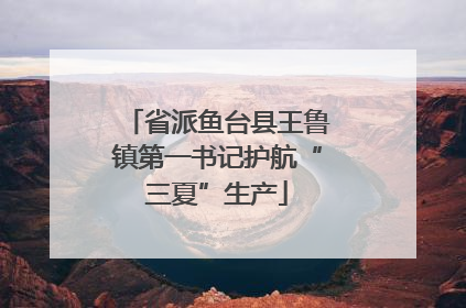 省派鱼台县王鲁镇第一书记护航“三夏”生产