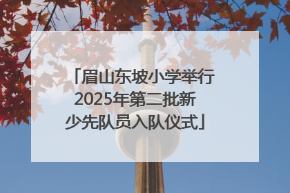 眉山东坡小学举行2025年第二批新少先队员入队仪式