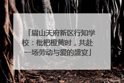 眉山天府新区行知学校：枇杷橙黄时，共赴一场劳动与爱的盛宴