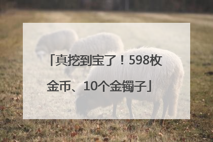 真挖到宝了！598枚金币、10个金镯子