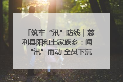 筑牢“汛”防线｜慈利县阳和土家族乡：闻“汛”而动 全员下沉筑牢防汛“安全堤”