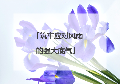 筑牢应对风雨的强大底气