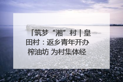 筑梦“湘”村｜皇田村：返乡青年开办榨油坊 为村集体经济“加油”