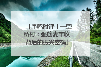 筝鸣时评丨一空桥村：强筋麦丰收背后的振兴密码