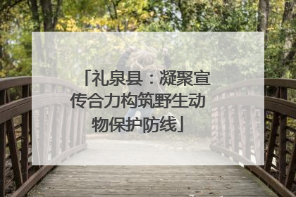 礼泉县：凝聚宣传合力构筑野生动物保护防线